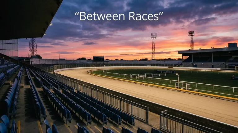 Future of UK Greyhound Racing: Bans, Closures and What Comes Next