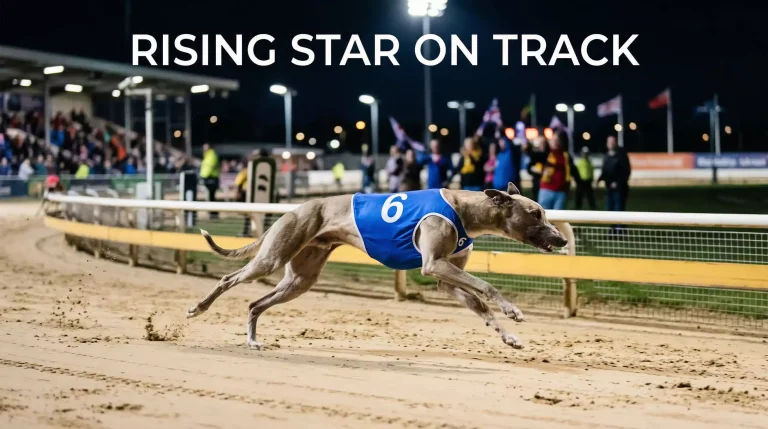 Nottingham Eclipse and Puppy Classic: Category 1 Events at Colwick Park