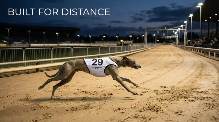 The St Leger at Nottingham: A Stayers’ Classic Arrives at Colwick Park